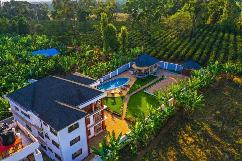 Dual Mountain View Lodge Moshi Bagian luar foto
